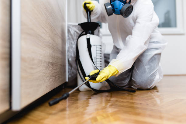Pest Control for Restaurants in Trotwood, OH