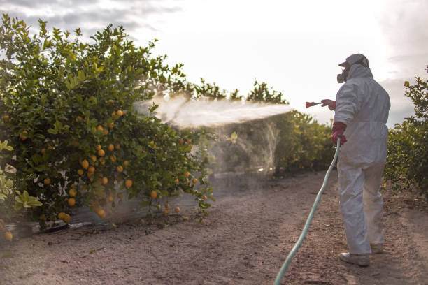 Best Bed Bug Extermination  in Trotwood, OH