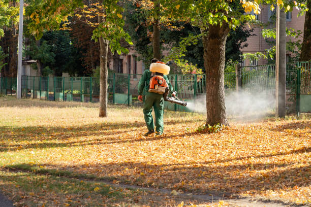 Best Residential Pest Control  in Trotwood, OH