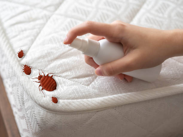 Best Cockroach Control Services  in Trotwood, OH