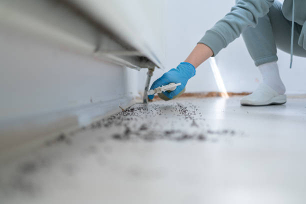 Best Pest Inspection Near Me  in Trotwood, OH